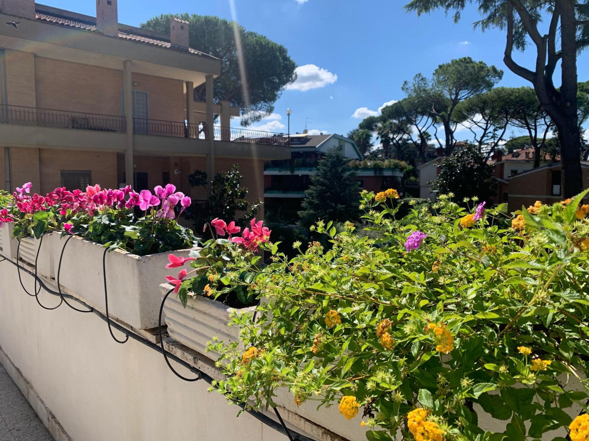 Villa Orsini Ρώμη Εξωτερικό φωτογραφία